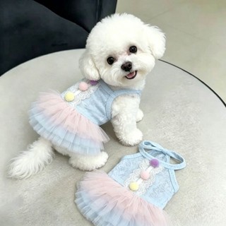 Váy ren mèo cho thú cưng mùa hè Trang phục dễ thương 0,5-7,5kg