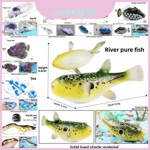 Trang trí bể cá nhiệt đới Mô hình nhựa Đồ chơi động vật biển cho những người đam mê bể cá