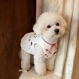 Váy hoa tươi cho mèo Quần áo thú cưng mùa hè 1-6,5kg
