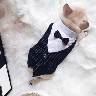 [Hàng cho thú cưng dễ thương] Váy phù hợp với mèo Trang phục mùa hè cho thú cưng 2-10kg