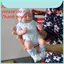 10 "Thật Như Thật Toàn Thân Mềm Vinyl Silicone Búp Bê Thật Sơ Sinh Bé Gái Handmade
