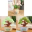 Búp bê sang trọng Blossom Iris với Polyester cao cấp dành cho giọng nói và bộ sưu tập gia đình