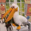Động vật Pelican Plushie với mỏ dài Đồ chơi chim nhồi bông để trang trí phòng trẻ em