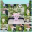 Dễ Thương Kolomi Sang Trọng Treo Móc Khóa Thú Nhồi Bông Đáng Yêu Đồ Chơi Cotton