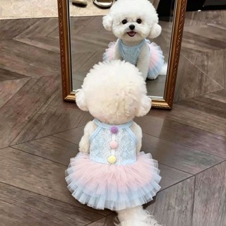 Váy ren mèo cho thú cưng mùa hè Trang phục dễ thương 0,5-7,5kg