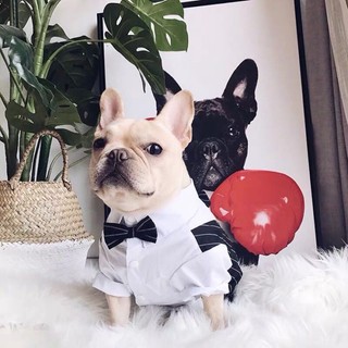 [Hàng cho thú cưng dễ thương] Váy phù hợp với mèo Trang phục mùa hè cho thú cưng 2-10kg