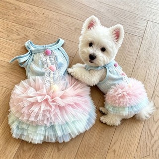 Váy ren mèo cho thú cưng mùa hè Trang phục dễ thương 0,5-7,5kg