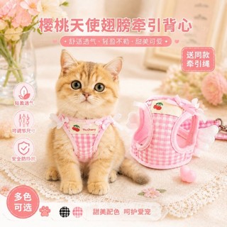 [Hàng có sẵn] Bộ dây xích lưng ngực dễ thương thoáng khí mát mùa hè cho mèo 1-9kg