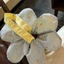 New Original Spring And Summer Hand-held Flower Bags, Versatile, High-looking, Contrasting Color