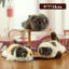 Đồ chơi nhồi bông Love Siamese Multi Cat với chất liệu Cotton Pp cho bộ sưu tập trẻ em và