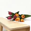 Bàn hoa Tulip Chậu cây nhỏ bằng nhựa và lụa để trang trí tiệc cưới trong nhà