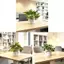 Sắp xếp cây trồng tổng hợp bằng vải hoa để trang trí nội thất trong nhà Nhu cầu chụp ảnh và