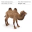 Môi trường sống động vật Pvc Camel Mô hình tĩnh trang trí cho trẻ em Đồ chơi giáo dục và