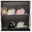 Summer Mini Fashion Versatile Small Bag Women's Handbag New High-end Single Shoulder Light Luxur
