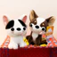 Đồng hành vui nhộn Chihuahua sang trọng có đầy đủ an toàn cho trẻ em và quà tặng tuổi Teen