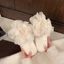 Dép Nữ Mặc Ngoài Mùa Thu Nữ Chống Trơn Trượt Đẹp Cổ Tích Phong Cách Đáy Bằng Hoa Lông Dép