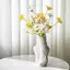 Vase Fantasy Ballet Phong Cách Nhựa Trang Trí Mảnh Cho Cuộc Sống Hiện Đại Quà Tặng Không Gian Và