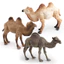 Môi trường sống động vật Pvc Camel Mô hình tĩnh trang trí cho trẻ em Đồ chơi giáo dục và
