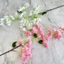 Trang trí trần hoa lụa cưới với Jacaranda giả để sử dụng tại nhà và chụp ảnh
