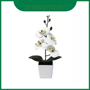 Hoa giả silicon phong lan bướm có đế cho bàn nhà hàng Trung tâm và chụp ảnh