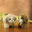Đồ chơi sang trọng Chó Husky Động vật nhồi bông mềm dễ thương cho trẻ em và người sưu tập