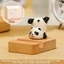 Giá đỡ điện thoại gấu trúc Phụ kiện để bàn bằng nhựa dễ thương để trang trí văn phòng và nhà cửa