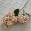 Và Trang Trí Nhà Đám Cưới Với Hydrangea Nhân Tạo Với Thiết Kế Nhánh Cao Sử Dụng Đa Năng Cho