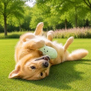 [Hàng cho thú cưng dễ thương] Đồ chơi âm thanh sang trọng Cat Melon Búp bê thú cưng
