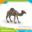 Môi trường sống động vật Pvc Camel Mô hình tĩnh trang trí cho trẻ em Đồ chơi giáo dục và