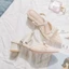 French High Heels For Women This Summer New Pointed Toe Thick Heels With Skirt Lace Mesh Hollow