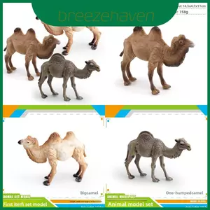 Môi trường sống động vật Pvc Camel Mô hình tĩnh trang trí cho trẻ em Đồ chơi giáo dục và