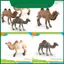 Môi trường sống động vật Pvc Camel Mô hình tĩnh trang trí cho trẻ em Đồ chơi giáo dục và