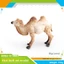 Môi trường sống động vật Pvc Camel Mô hình tĩnh trang trí cho trẻ em Đồ chơi giáo dục và