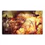 O-P Portgas · D · Ace Playmat Trading Card Game CCG OPCG Thảm Board Game Chơi Pad