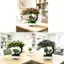 Cây nhân tạo Lily 3d bằng nhựa trang trí để bàn để sắp xếp văn phòng tại nhà và đám cưới