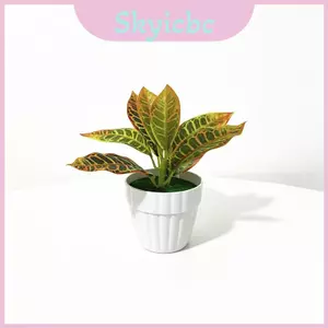 Bình nhựa trong nhà Greenery với thiết kế nghệ thuật để trang trí phòng khách và đám cưới