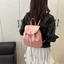 Travel Business Trip High-end Large-capacity Women's Bag New Leisure Travel Student Travel Schoo