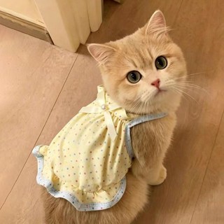 [Hàng cho thú cưng dễ thương] Quần áo mèo chấm bi Quần áo thú cưng mỏng mùa hè 0,5-10kg