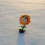 Shin Crayon Sunflower Chan Pvc dành cho người hâm mộ Anime sưu tập và