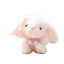 Thỏ ấm cúng Plushie có móc khóa cho phụ nữ và trẻ em Quà tặng