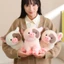 Búp bê sang trọng thu nhỏ dễ thương Pig với độ nhẹ cho trẻ em để chơi