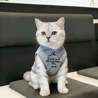 [Hàng cho thú cưng dễ thương] Quần áo cho mèo Dễ thương Thời trang đẹp trai Phong cách mỏng Quần áo thú cưng thoáng khí