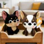 Đồng hành vui nhộn Chihuahua sang trọng có đầy đủ an toàn cho trẻ em và quà tặng tuổi Teen