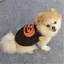 Áo Vest cho chó cưng có vải Polyester và phong cách thông thường cho mọi giống và kích cỡ
