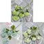 Hoa cẩm tú cầu giả để trang trí sự kiện Studio chụp ảnh Prop Trang trí nhà