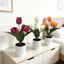 Bàn hoa Tulip Chậu cây nhỏ bằng nhựa và lụa để trang trí tiệc cưới trong nhà