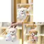Gấu đồ chơi sang trọng cho trẻ em với chất đầy Polyester cho bé gái và người sưu tập