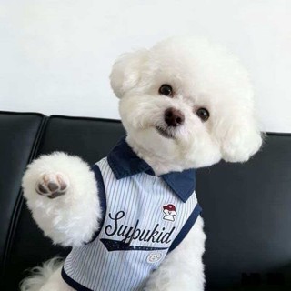 [Hàng Thú Cưng Dễ Thương] Quần Áo Mèo Mùa Hè Mỏng Phong Cách Thoáng Khí Áo Sơ Mi POLO Dễ Thương Quần Áo Thú Cưng 0.5-7.5kg