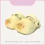Sandal sang trọng cho mèo có đế Eva chống trượt cho trẻ em và người lớn