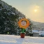 Shin Crayon Sunflower Chan Pvc dành cho người hâm mộ Anime sưu tập và